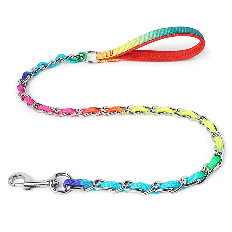 Ulysses Medium Small Dog Rainbow Dog Chain Teddy
